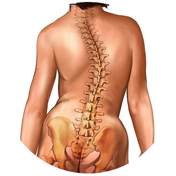 spine Deformity Surgery icon Home