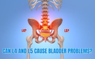 Blog Synapse Spine Can L4 and L5 Cause Bladder Problems