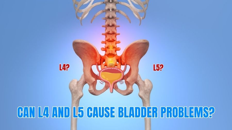 Can L4 and L5 Cause Bladder Problems